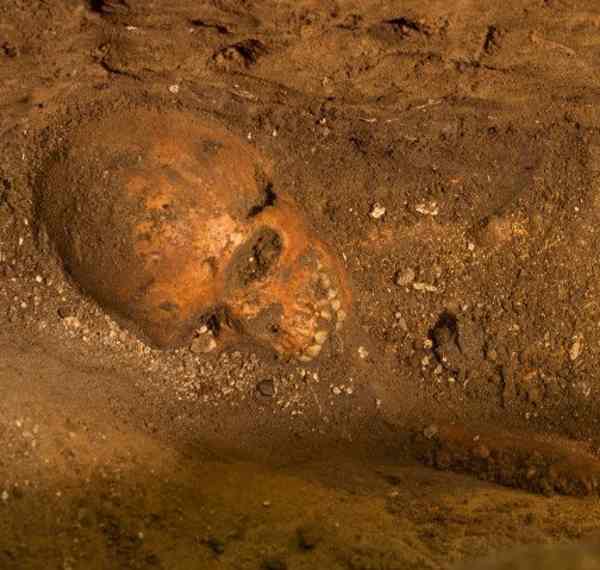 Под зданием во Флориде найдены скелеты колонистов XVI века